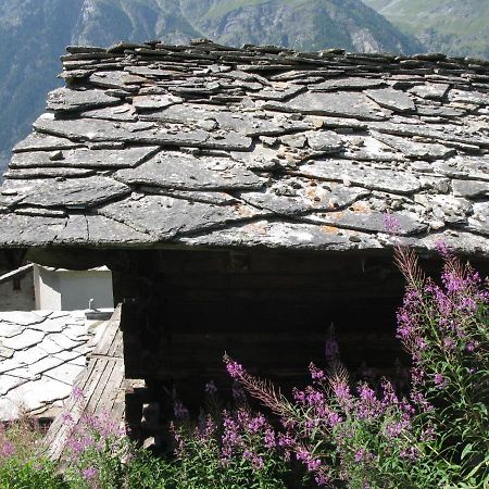 Alpia 26 - Zwei Zimmerwohnung In Traditionellem Walliser Haus Gasenried Exteriör bild